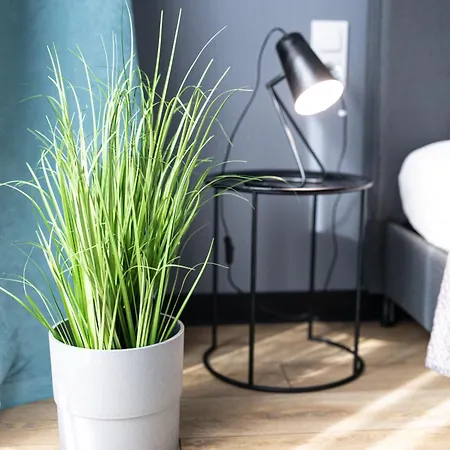 Lm Narutowicza Kamienica Nova 2-3 שצ'צ'ין