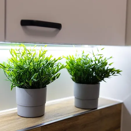 Lm Narutowicza Kamienica Nova 2-3 דירה *