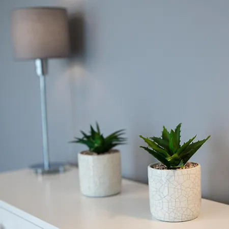 Appartement Lm Narutowicza Kamienica Nova 2-3 *