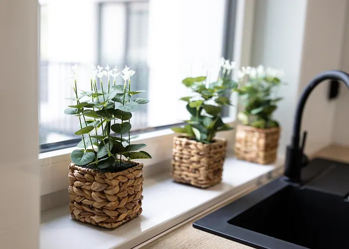 Lm Narutowicza Kamienica Nova 2-3 Apartamento Estetino