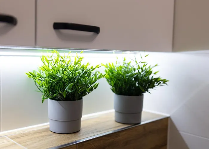 Lm Narutowicza Kamienica Nova 2-3 Apartamento *