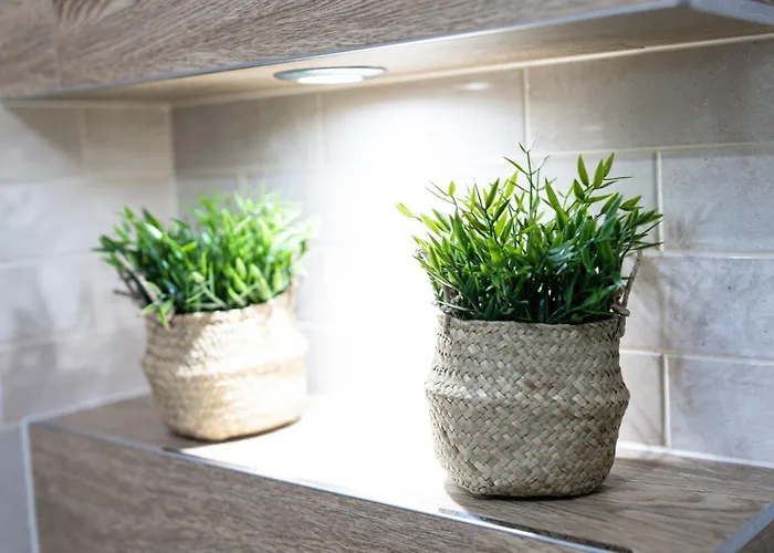 Lm Narutowicza Kamienica Nova 2-3 * Estetino