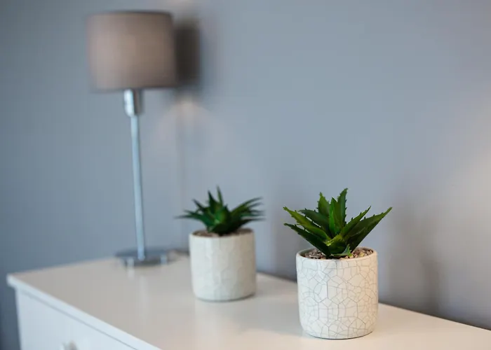 Apartamento Lm Narutowicza Kamienica Nova 2-3 *