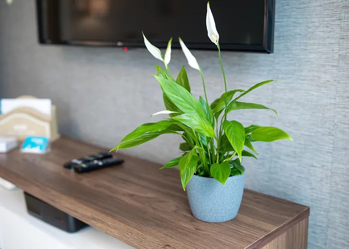 Apartamento Lm Narutowicza Kamienica Nova 2-3 Estetino